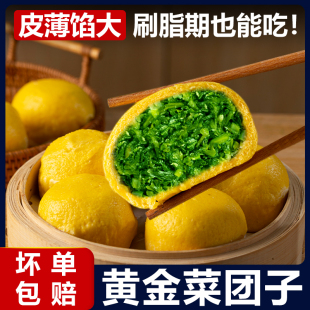 黄金蒲公英菜团子荠，菜包子纯玉米面粗粮杂粮，馒头速冻早餐半成品