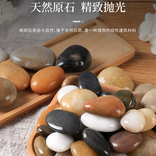 5斤五彩色天然鹅卵石南京雨花石，原石多肉花盆，鱼缸装饰石头小石子