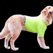 大狗狗衣服夏季薄款金毛拉布拉多，潮流凉感夏天透气中型大型犬夏装