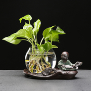 创意绿萝水培透明花瓶水养，植物器皿办公室桌面，装饰品客厅插花花器