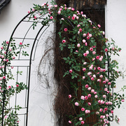 仿真花藤条玫瑰假花藤蔓阳台，墙面遮挡管道装饰假绿v植绿叶摆设吊