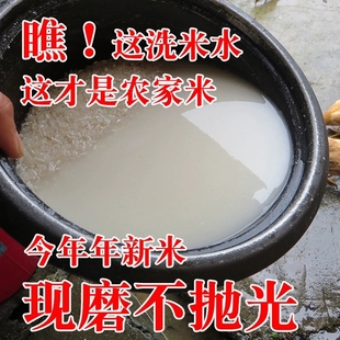 江西吉安农家自产大米不抛光长粒香新米不打腊乡下晚米 10斤