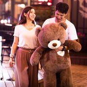 泰迪熊熊猫公仔毛绒玩具抱抱熊，大号玩偶布娃娃送女友1.2米礼物1.8
