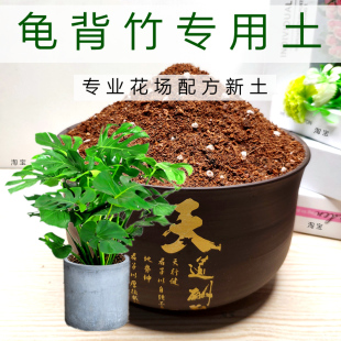 龟背竹专用土大型绿植盆栽花卉培养土弱酸性花泥通用型营养土