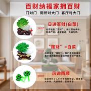 水晶珠帘隔断客厅玄关卫生间门帘家用白菜过道装饰挂帘子