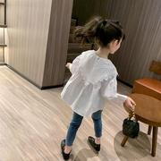 女童蕾丝翻领衬衫2025新款春秋纯棉娃娃衫中大童花边白色长袖衬衣