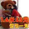 泰迪熊1.8米超大玩偶巨型布娃娃特大号2女生熊毛绒(熊，毛绒)玩具送女友公仔