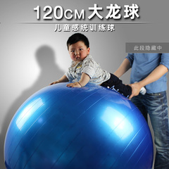 哈宇120CM大龙球儿童感统训练球防爆加厚健身球宝宝感统按摩刺激