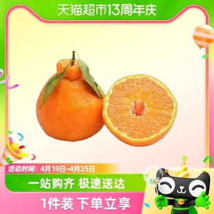 四川浦江不知火丑橘新鲜应当季水果桔子丑八怪酸甜橘子整箱
