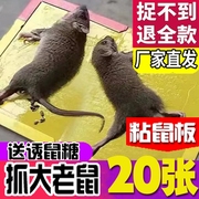 20张装超强力粘鼠板灭大老鼠，贴粘鼠胶夹捕鼠，驱鼠粘鼠纸胶加厚