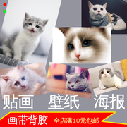 可爱猫咪小猫照片宠物店墙贴画装饰画萌宠壁画宿舍海报贴纸背景墙