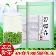 茶叶绿茶2023新茶碧螺春礼盒装明前特级毛尖茶散装罐装单芽绿茶