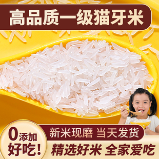 猫牙米长粒香米大米，2024年新米泰国香米，丝苗米油粘10斤