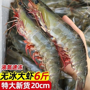 大虾鲜活超大基围虾，特大青虾冷冻鲜对虾速冻海虾，虾类海鲜水产青岛