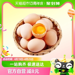 蛋悠品新鲜散养柴鸡蛋自养笨鸡蛋土，鸡蛋45g*6枚谷草鸡蛋