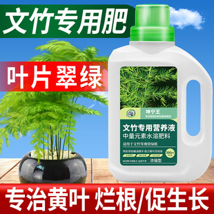 坤宁王文竹营养液专用肥料，治黄叶盆栽植物，养花通用花肥料盆景氮肥