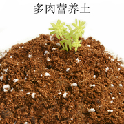 轩跃多肉植物专用土养花营养土种植土通用型园艺用品花盆家用