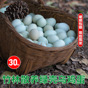 农家深山竹林散养新鲜正宗土鸡蛋乌鸡蛋绿壳笨鸡蛋30枚绿皮山鸡蛋