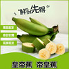新鲜皇帝蕉帝王蕉黄帝蕉小香蕉，水果整箱10斤苹果蕉粉蕉米蕉大芭蕉