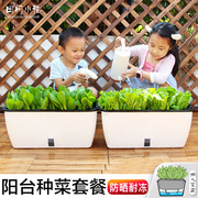 种菜专用盆神器家庭阳台塑料室内花盆香葱生菜番茄草莓种植箱套餐