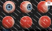 5种逼真人物眼睛虹膜3D模型眼球珠蓝棕绿浅色八猴Maya源文件fbx