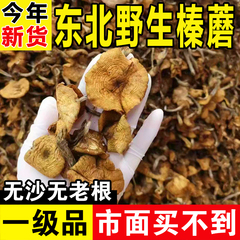 东北榛蘑野生蘑菇干货山珍土特产煲汤菌菇小鸡炖蘑菇榛蘑新货500g