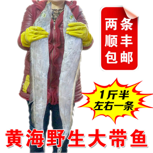 丹东黄海野生新鲜带鱼鱼特大号新鲜带鱼深海捕捞冷冻水产
