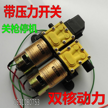 便携式自助洗车机