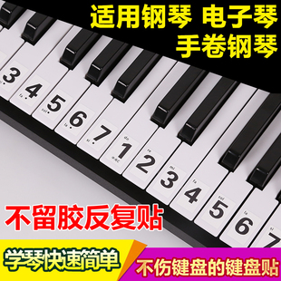 初学简谱电钢琴键盘贴纸88615449键电子琴贴37口风琴按键音符