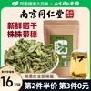 南京同仁堂车前草干货野生新鲜中葯材平车前非尿痠高袋泡茶凉茶降