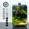 阿诺比静音水族箱自循环生态鱼缸小型造景超白玻璃竖高带过滤增氧