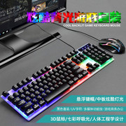 博士顿8310背光电脑USB有线键盘鼠标彩虹发光套装代发DIY装机配送