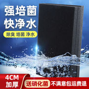 生化棉鱼缸过滤材料鱼缸过滤棉水族用品养鱼用品高密度滤材净化