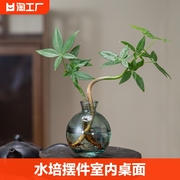 发财树水培植物摆件室内桌面办公室四季好养活绿植盆栽茶室客厅