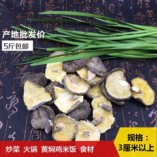 碎干香菇500g碎香菇干货，碎片大片冬菇黄焖鸡香菇散装5斤