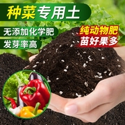 营养土种菜专用土壤种植土蔬菜阳台种菜椰砖黑肥料果蔬有机泥土