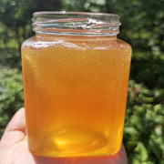 蜂蜜纯正天然农家自产正宗土蜂蜜，采野生花源纯蜂蜜结晶百花蜜峰蜜