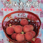 7月1现摘平谷突围水蜜桃正宗北京大桃软甜桃，当季水果礼盒6斤