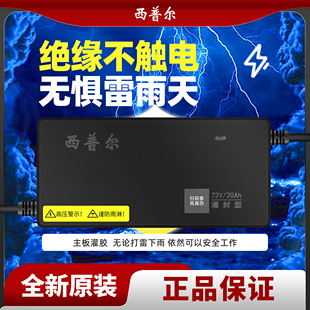 西普尔电动车电瓶，充电器48v60v72v20a爱玛，立马雅迪台铃三轮车通用