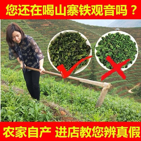 1725铁观音茶农