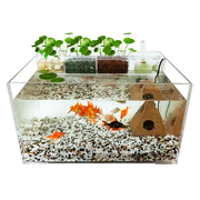 桌面生态鱼缸亚克力乌龟缸，小型水龟缸客厅水陆，造景缸带过滤免