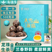 新益号大雪山普洱茶生茶龙珠茶沱茶散茶云南古树茶口粮茶叶