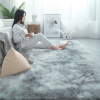 地毯卧室客厅2024床边毛毯地垫高级加厚家用房间少女垫子沙发