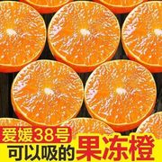 四川爱媛38号果冻橙手剥橙子新鲜当季孕妇水果桔子整箱10斤大果