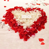婚房布置仿真玫瑰花瓣手抛假花瓣求婚生日，浪漫表白结婚婚礼装饰