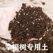 幸福树营养土专用土泥土种植泥土泥炭土花泥土壤透气通用型有机土