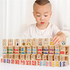 木丸子儿童益智玩具多米诺骨牌，100片双面汉字多米诺，木制积木玩具