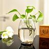 绿萝水培玻璃花瓶简约透明大号水养植物器皿摆件客厅插花富贵竹