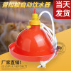 普拉松鸡自动饮水器鸡鸭用自动饮水壶养殖小鸡饮水桶鸭鸡场喝水壶