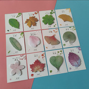 创意仿真绿色树叶叶子形状，便利贴学生用高颜值有粘性可爱便签纸条